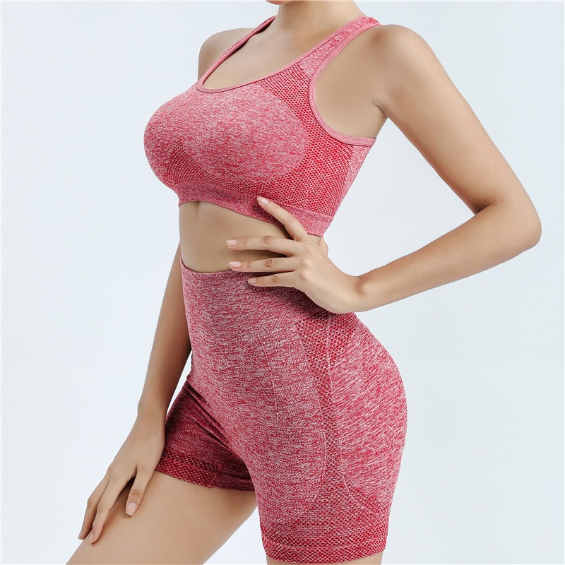 Women Seamless Sports Bra High Stretch Yoga Workout Crop Top Activewear