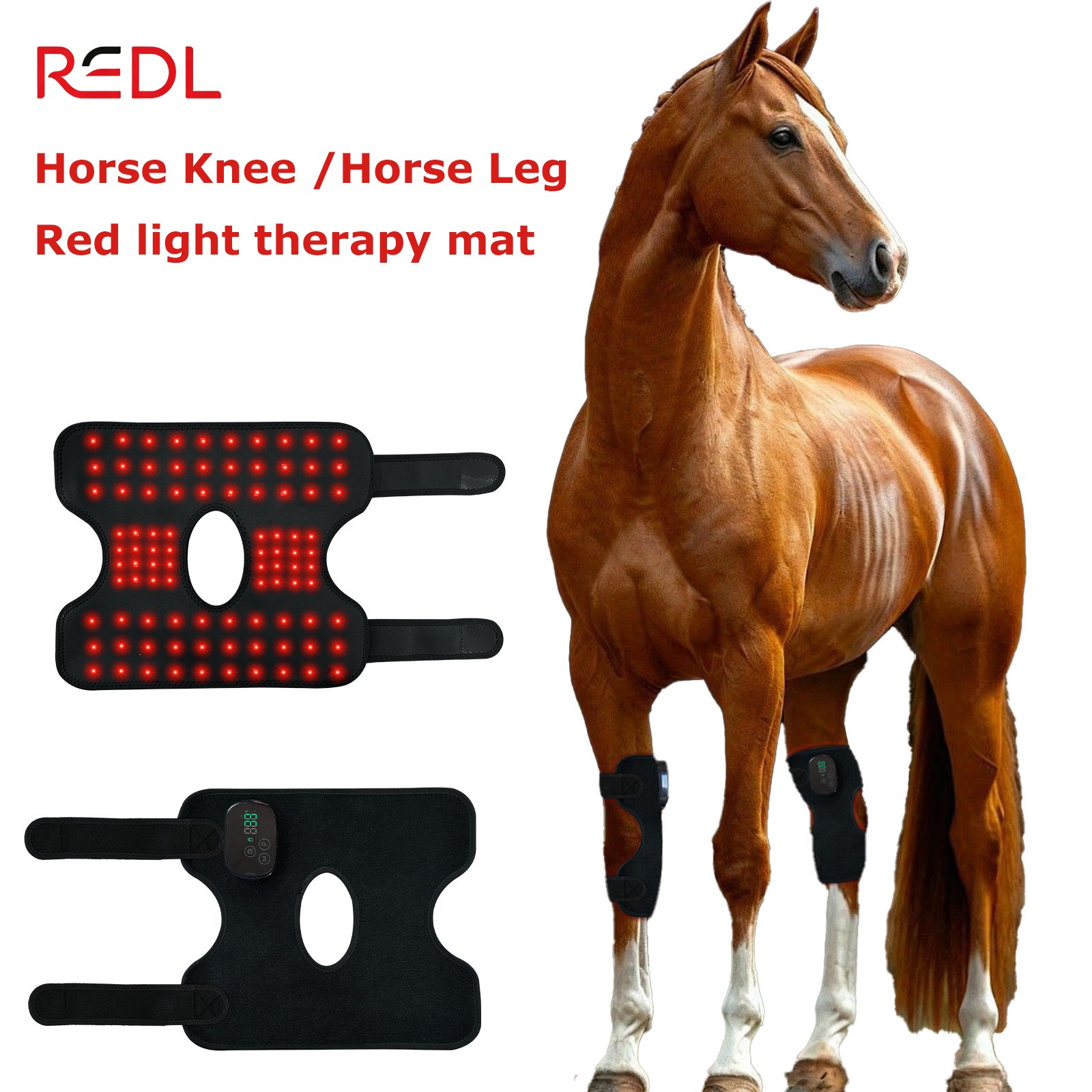 Horse Knee red light therapy mat/ strip