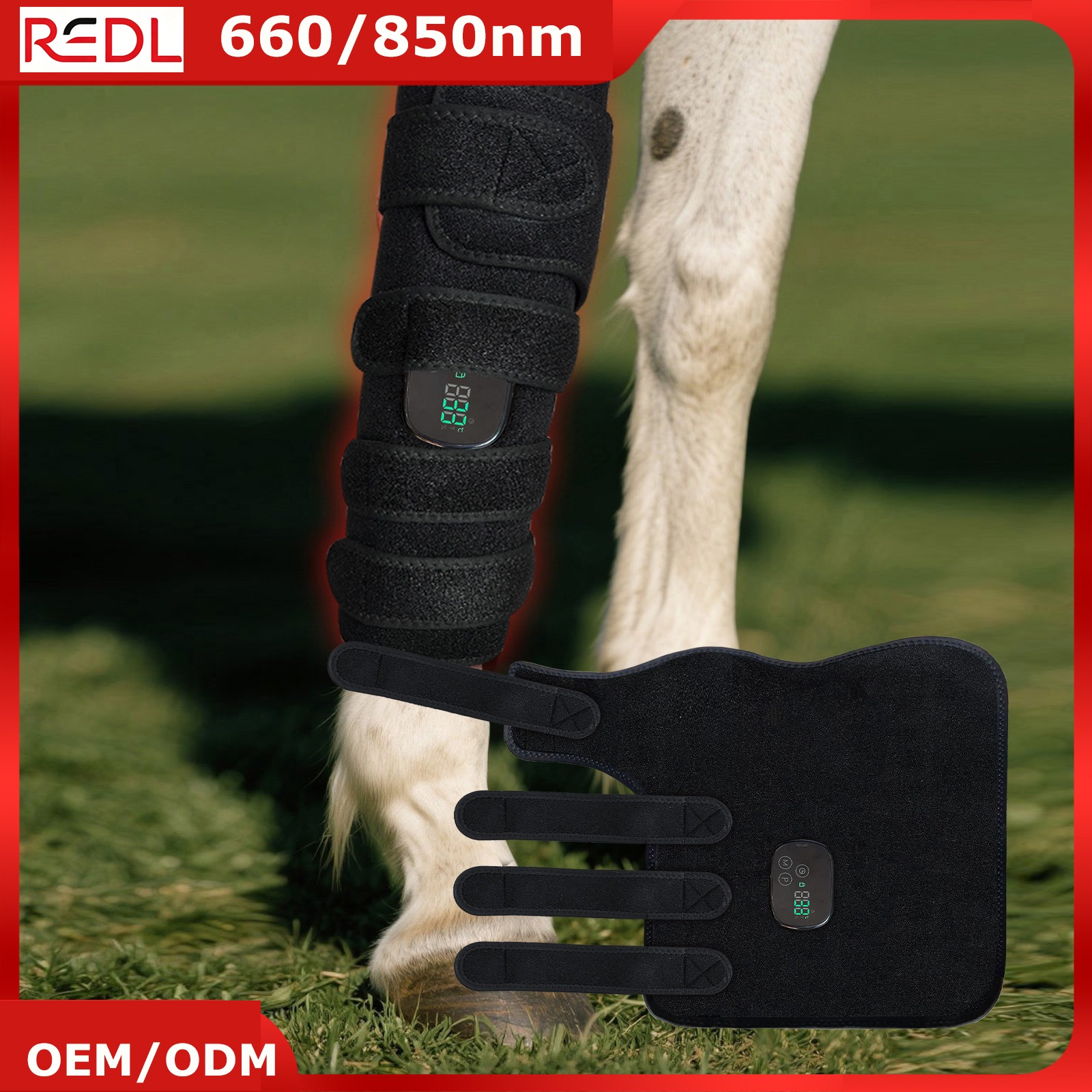 Horse Lower Leg red light therapy mat/strip