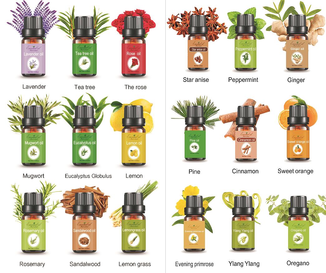 Essential oil set, 10ml bottle oil,