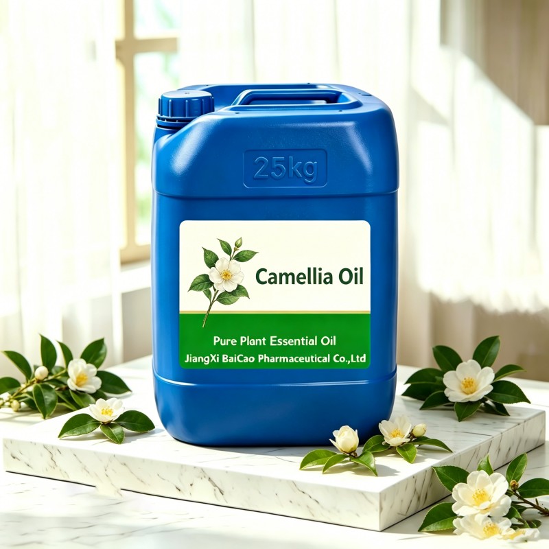 Camellia Seed Oil,Camellia Oil,CAMELLIA JAPONICA oil