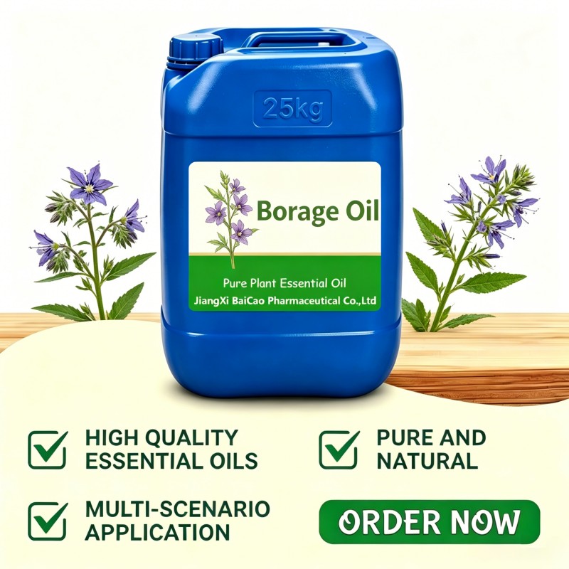 Borage oil,Borage Seed oil
