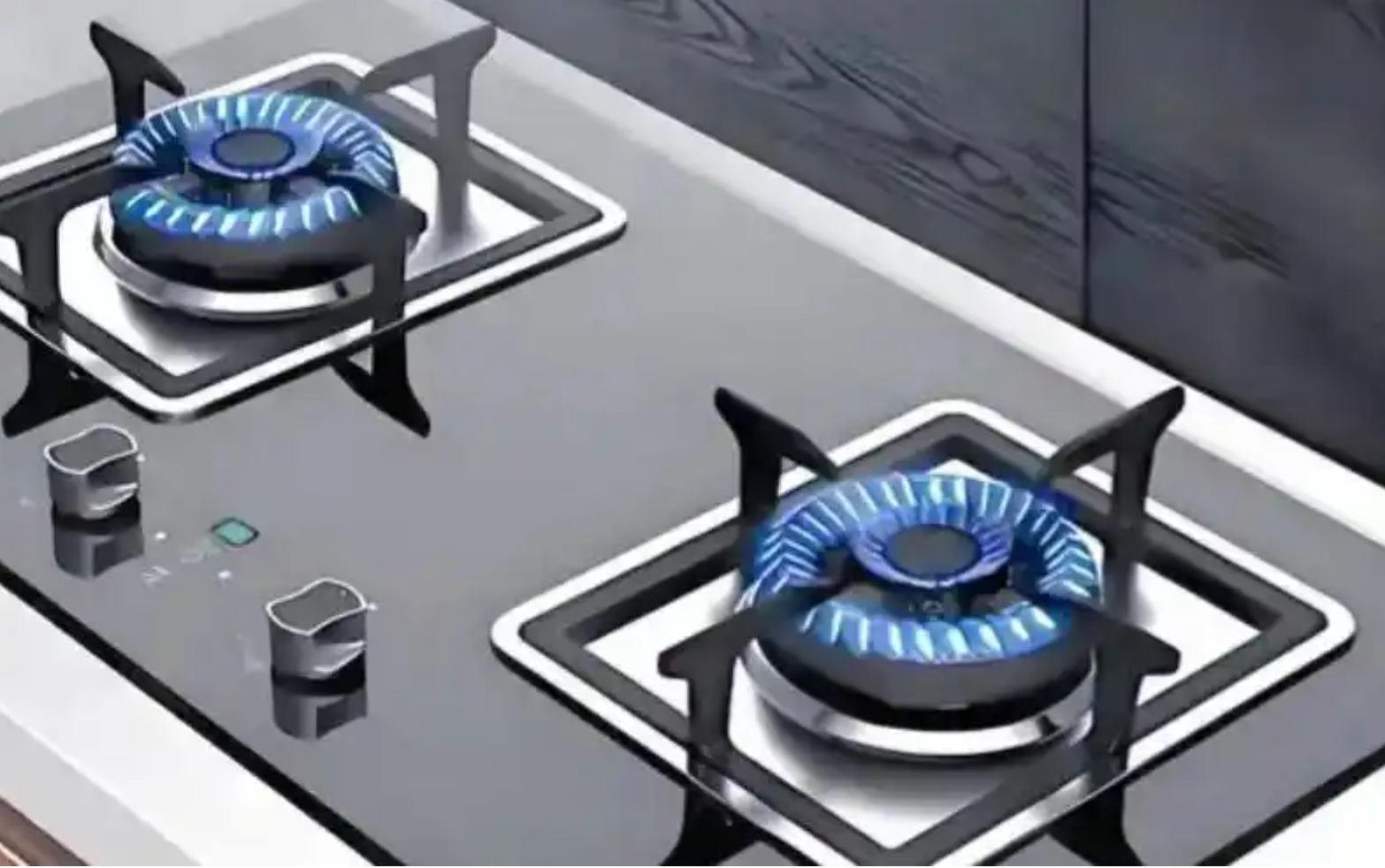 Gas Stove