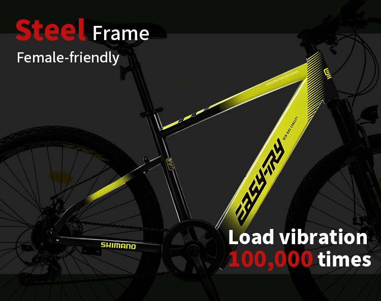 long range ebike